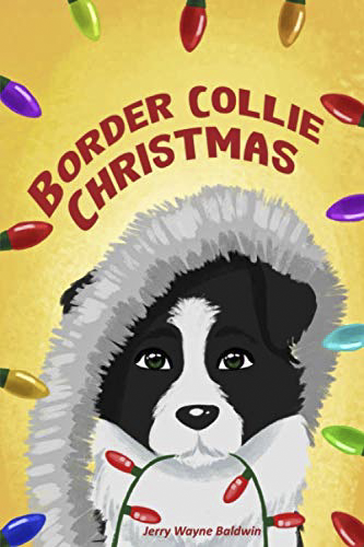 Border Collie xmas book cover